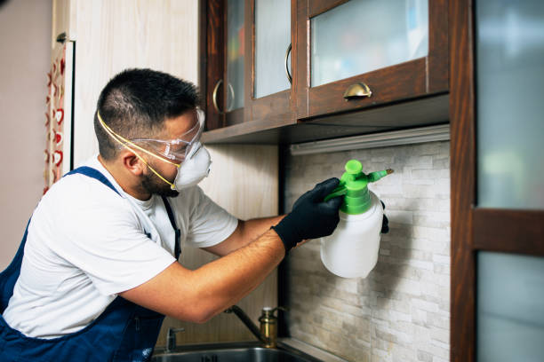 Best Affordable Pest Control Services  in Walce Ridge, LA