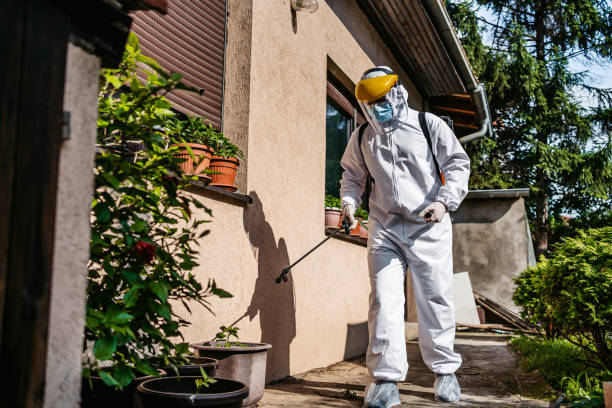 Best Emergency Pest Control  in Walce Ridge, LA