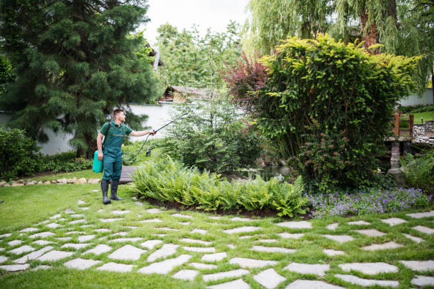 Best Wasp Removal Services  in Walce Ridge, LA