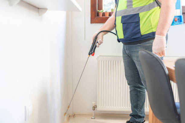 Best Pest Control Near Me  in Walce Ridge, LA