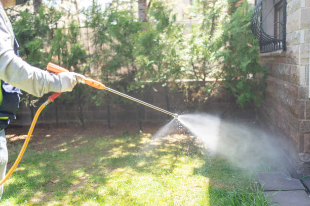 Trusted Wallace Ridge, LA Pest Control Experts