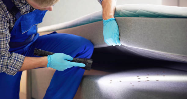 Best Mosquito Control Services  in Walce Ridge, LA