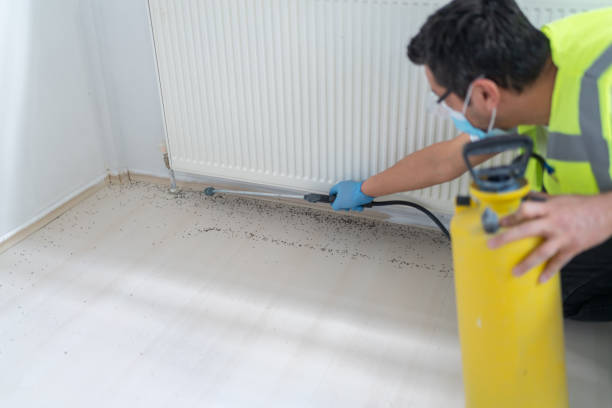 Best Pest Removal Services  in Walce Ridge, LA